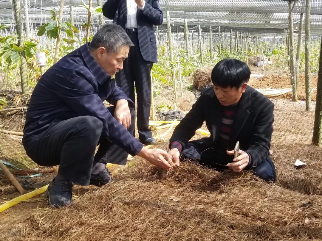首页| 尊时凯龙中国集团官方网站