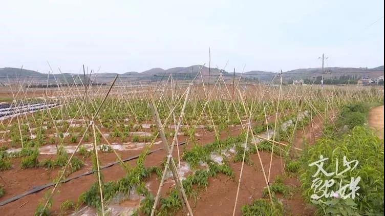 首页| 尊时凯龙中国集团官方网站